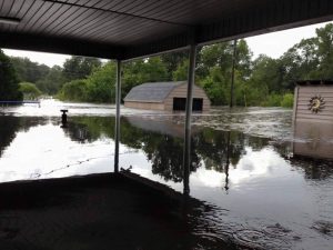 Lang survives The Great Flood of 2016 in Louisiana